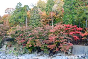 香嵐渓、紅葉、11月秋、愛知県豊田市の観光・撮影スポットの画像と写真