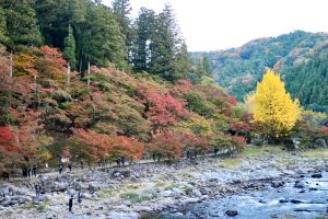 香嵐渓、紅葉、11月秋、愛知県豊田市の観光・撮影スポットの画像と写真
