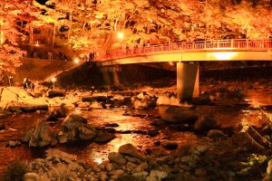 香嵐渓、紅葉、ライトアップ、11月秋、愛知県豊田市の観光・撮影スポットの画像と写真