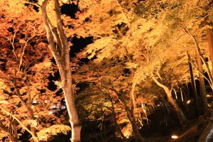 香嵐渓、紅葉、ライトアップ、11月秋、愛知県豊田市の観光・撮影スポットの画像と写真