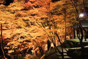 香嵐渓、紅葉、ライトアップ、11月秋、愛知県豊田市の観光・撮影スポットの画像と写真