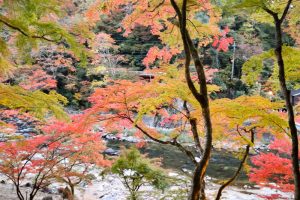 香嵐渓、紅葉、11月秋、愛知県豊田市の観光・撮影スポットの画像と写真