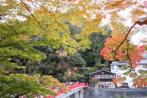 香嵐渓、紅葉、11月秋、愛知県豊田市の観光・撮影スポットの画像と写真