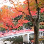 香嵐渓、紅葉、11月秋、愛知県豊田市の観光・撮影スポットの画像と写真