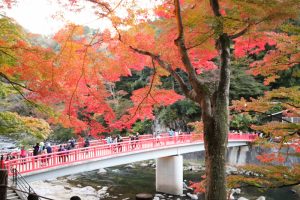 香嵐渓、紅葉、11月秋、愛知県豊田市の観光・撮影スポットの画像と写真