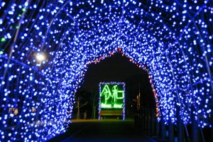 黒野駅レールパーク、イルミネーション、12月冬、岐阜県揖斐郡の観光・撮影スポットの画像と写真