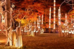 そうぶんの竹あかり、イルミネーション、三重県総合文化センター、三重県津市の観光・撮影スポットの画像と写真