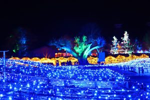 なばなの里、ミレニアムガーデン（光の海）、イルミネーション、12月冬、三重県桑名市の観光・撮影スポットの画像と写真