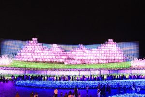 なばなの里、（桜）~SAKURA~、イルミネーション、12月冬、三重県桑名市の観光・撮影スポットの画像と写真