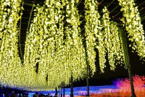 なばなの里、イルミネーション、12月冬、三重県桑名市の観光・撮影スポットの画像と写真