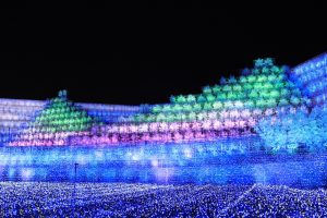 なばなの里、さくら（桜）~SAKURA~、イルミネーション、12月冬、三重県桑名市の観光・撮影スポットの画像と写真