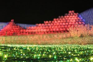 なばなの里、さくら（桜）~SAKURA~、イルミネーション、12月冬、三重県桑名市の観光・撮影スポットの画像と写真