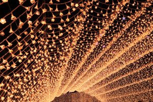 なばなの里、光のトンネル（花回廊）、イルミネーション、12月冬、三重県桑名市の観光・撮影スポットの画像と写真