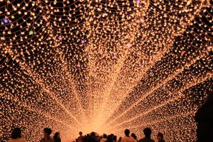 なばなの里、光のトンネル（花回廊）、イルミネーション、12月冬、三重県桑名市の観光・撮影スポットの画像と写真