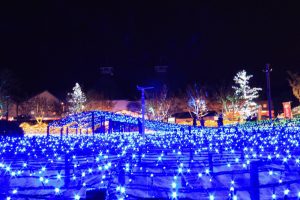 なばなの里、ミレニアムガーデン（光の海）、イルミネーション、12月冬、三重県桑名市の観光・撮影スポットの画像と写真