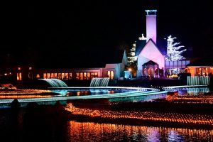 なばなの里、（桜）~SAKURA~、イルミネーション、12月冬、三重県桑名市の観光・撮影スポットの画像と写真