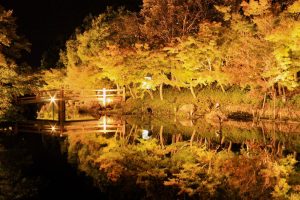 なばなの里、鏡池、イルミネーション、12月冬、三重県桑名市の観光・撮影スポットの画像と写真
