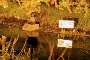 なばなの里、鏡池、イルミネーション、12月冬、三重県桑名市の観光・撮影スポットの画像と写真