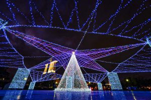 名古屋港ガーデンふ頭、イルミネーション、12月冬、名古屋市港区の観光・撮影スポットの画像と写真