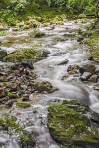 新城市の滝、鳴沢の滝、愛知県新城市の観光・撮影スポットの画像と写真
