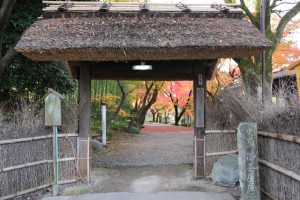 お茶屋屋敷跡、紅葉、11月秋、岐阜県大垣市の観光・撮影スポットの画像と写真