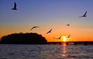 竹島、夕日、1月冬、愛知県蒲郡市の観光・撮影スポットの画像と写真