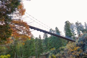 多良峡森林公園、紅葉、11月秋、岐阜県大垣市の観光・撮影スポットの画像と写真