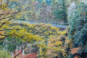 多良峡森林公園、紅葉、11月秋、岐阜県大垣市の観光・撮影スポットの画像と写真