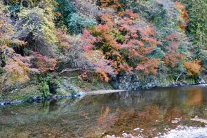 多良峡森林公園、紅葉、11月秋、岐阜県大垣市の観光・撮影スポットの画像と写真