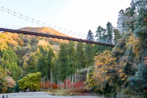 多良峡森林公園、紅葉、11月秋、岐阜県大垣市の観光・撮影スポットの画像と写真