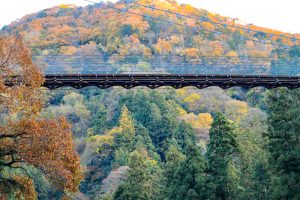 多良峡森林公園、紅葉、11月秋、岐阜県大垣市の観光・撮影スポットの画像と写真