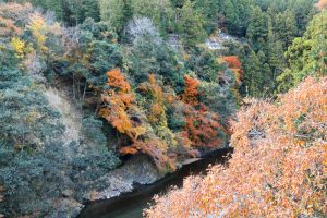 多良峡森林公園、紅葉、11月秋、岐阜県大垣市の観光・撮影スポットの画像と写真