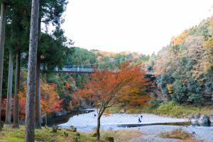 多良峡森林公園、紅葉、11月秋、岐阜県大垣市の観光・撮影スポットの画像と写真