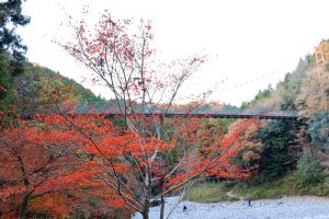 多良峡森林公園、紅葉、11月秋、岐阜県大垣市の観光・撮影スポットの画像と写真