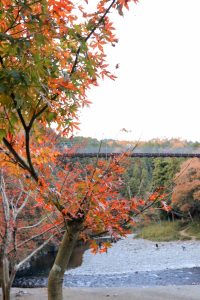 多良峡森林公園、紅葉、11月秋、岐阜県大垣市の観光・撮影スポットの画像と写真