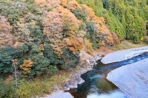多良峡森林公園、紅葉、11月秋、岐阜県大垣市の観光・撮影スポットの画像と写真