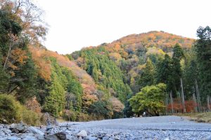 多良峡森林公園、紅葉、11月秋、岐阜県大垣市の観光・撮影スポットの画像と写真