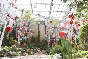 花フェスタ記念公園、ハッピー・ローズ・バレンタイン、2月、岐阜県可児市の観光・撮影スポットの画像と写真