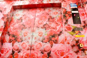 花フェスタ記念公園、ハッピー・ローズ・バレンタイン、2月、岐阜県可児市の観光・撮影スポットの画像と写真