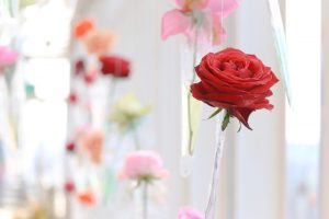 花フェスタ記念公園、ハッピー・ローズ・バレンタイン、2月、岐阜県可児市の観光・撮影スポットの画像と写真