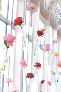 花フェスタ記念公園、ハッピー・ローズ・バレンタイン、2月、岐阜県可児市の観光・撮影スポットの画像と写真