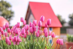木曽三川公園センター、アイスチューリップ、1月冬、岐阜県海津市の観光・撮影スポットの画像と写真