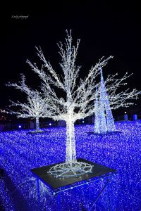 ラグーナテンボス、イルミネーション、12月冬、愛知県蒲郡市の観光・撮影スポットの画像と写真