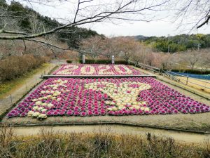 奥殿陣屋、フラワーアート、２月の春の花、愛知県岡崎市の観光・撮影スポット