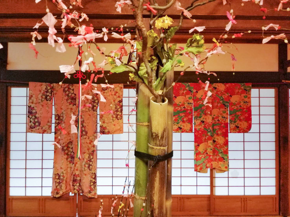 奥殿陣屋、ひな祭り、２月の春の花、愛知県岡崎市の観光・撮影スポ