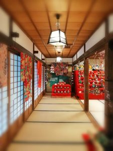 奥殿陣屋、ひな祭り、２月の春の花、愛知県岡崎市の観光・撮影スポ