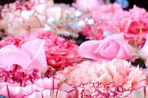 六華苑、花手水（手水舎）日本庭園、2月の冬の花、三重県桑名市の観光・撮影スポットの画像と写真