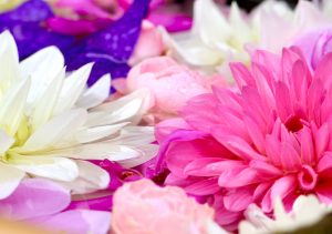 六華苑、花手水（手水舎）日本庭園、2月の冬の花、三重県桑名市の観光・撮影スポットの画像と写真