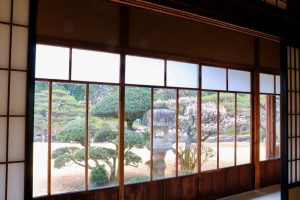 六華苑、旧諸戸清六邸、日本庭園、2月の冬の花、三重県桑名市の観光・撮影スポットの画像と写真