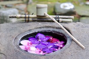 六華苑、花手水（手水舎）日本庭園、2月の冬の花、三重県桑名市の観光・撮影スポットの画像と写真
